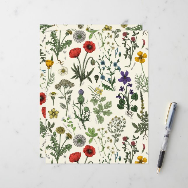 Wildflowers collage (Fram/Back In Situ)