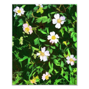 WILDFLOWERS FOTOTRYCK
