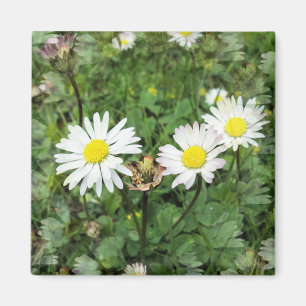 WILDFLOWERS MAGNET