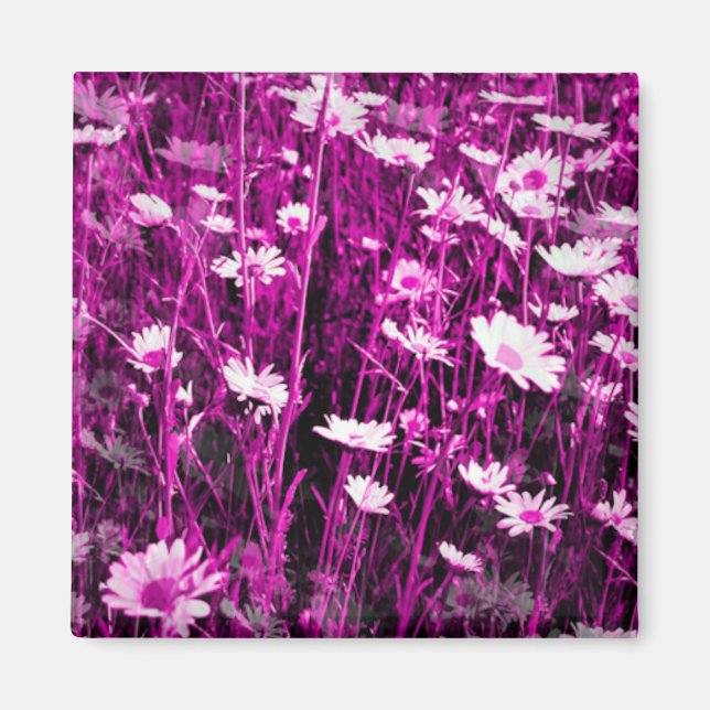 WILDFLOWERS MAGNET (Framsidan)