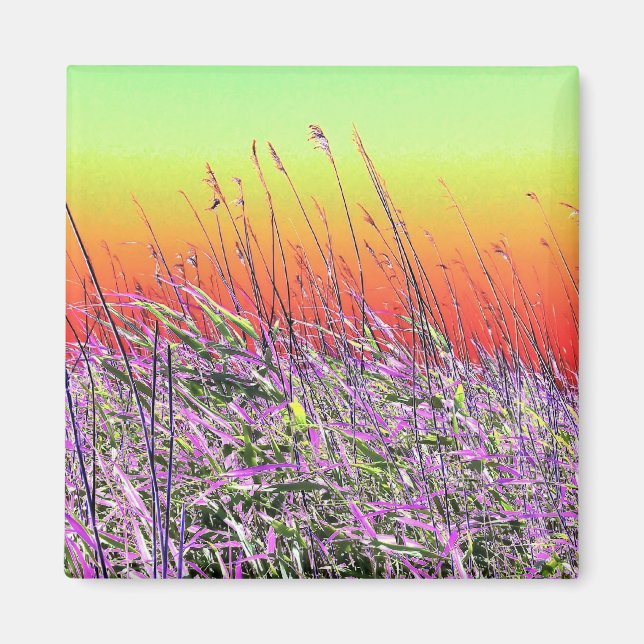WILDFLOWERS MAGNET (Framsidan)