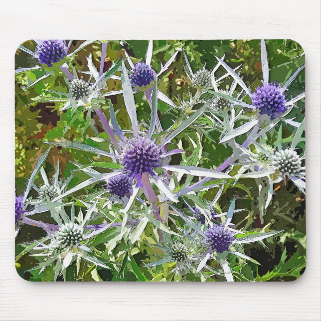 WILDFLOWERS MUSMATTA (Framsidan)
