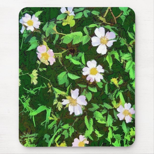 WILDFLOWERS MUSMATTA (Framsidan)