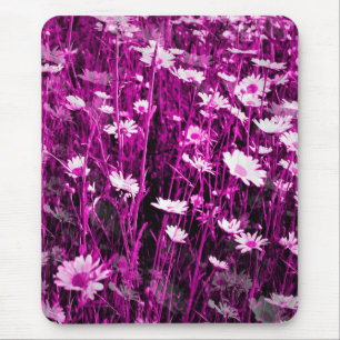WILDFLOWERS MUSMATTA