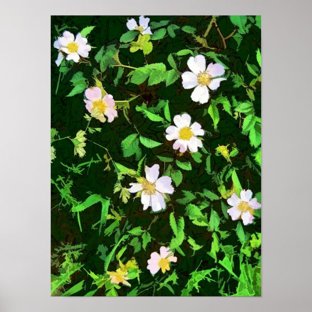 WILDFLOWERS POSTER (Framsidan)