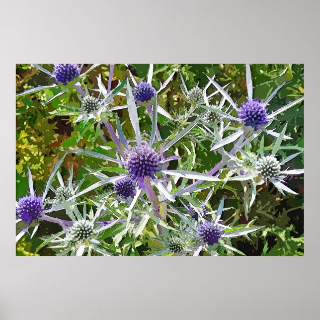 WILDFLOWERS POSTER (Framsidan)