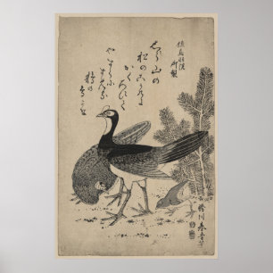 Wildfowl och Gräs Poster