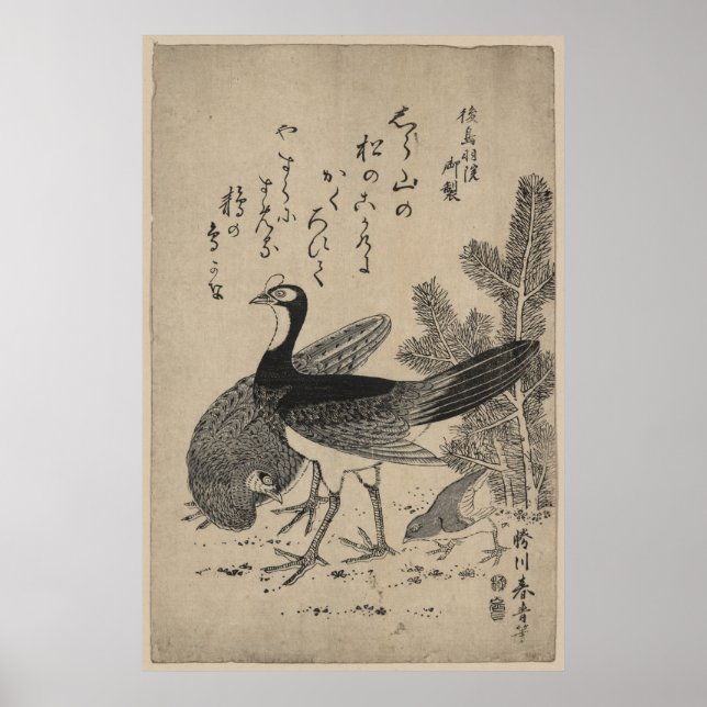 Wildfowl och Gräs Poster (Framsidan)