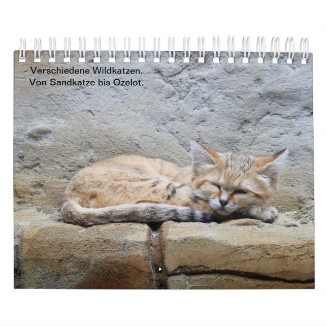 Wildkatzen. Kalender (Omslag)