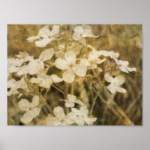 Wildlblommor Poster