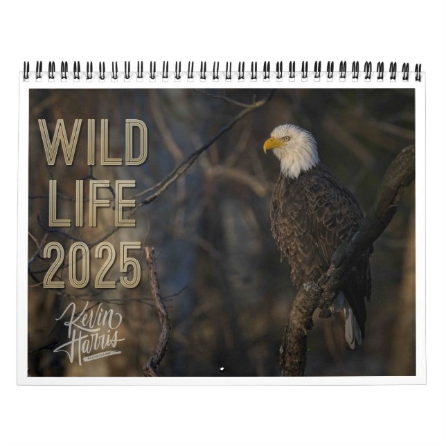 Wildlife 2025 Calendar by Kevin Harris Kalender (Omslag)