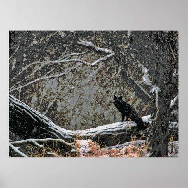 Wildlife 8 cmyk poster (Framsidan)