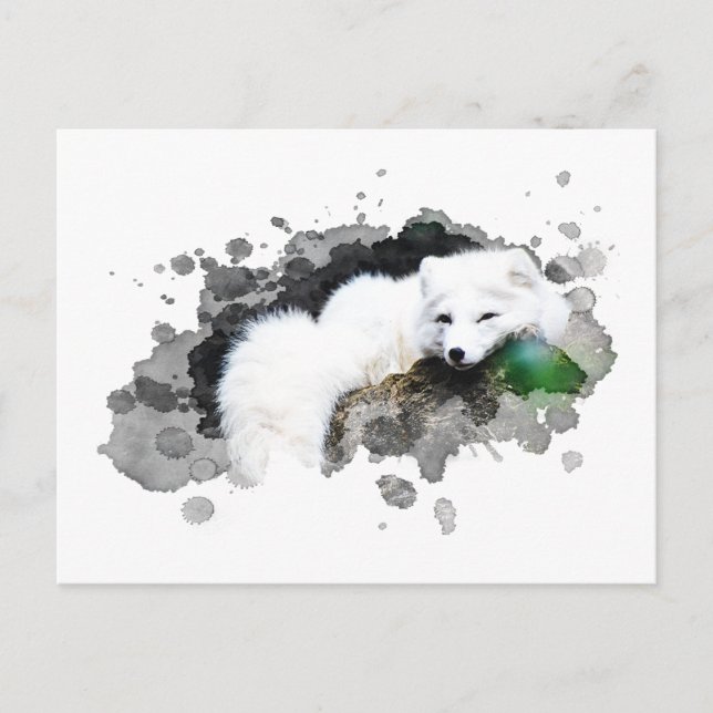 *~* Wildlife AP18 Snö Arktis White Polar Fox Vykort (Framsida)