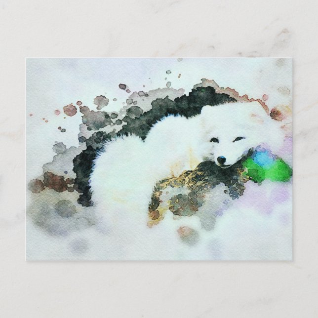 *~* Wildlife AP18 Snö White Arctic Polar Fox Vykort (Framsida)