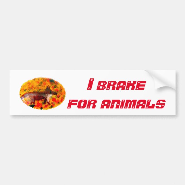 Wildlife Art Autumn Fox I Broke for Animals Bildekal (Framsidan)