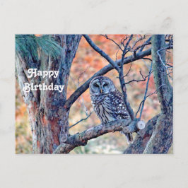 Wildlife Barred Uggla Träd Photo Birthday Vykort