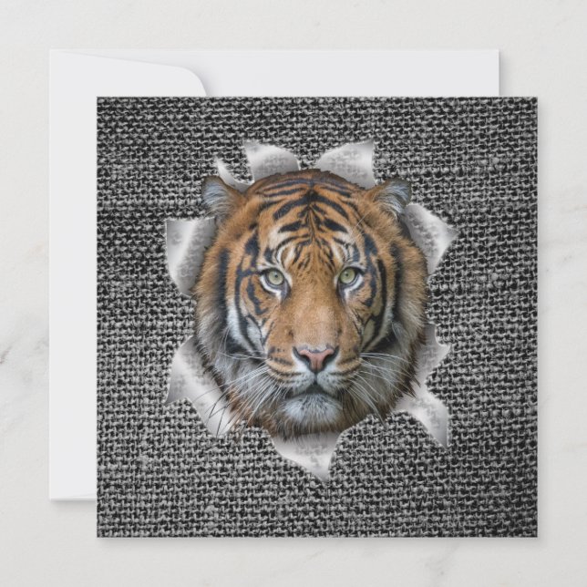 Wildlife Bengal Tiger (Framsida)