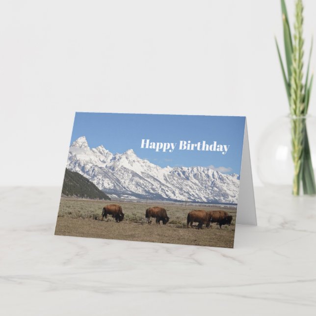Wildlife Bison Mountains Snö Photo Birthday Kort (Framsida)