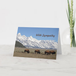 Wildlife Bison Mountains Snö Photo Sympathy Kort