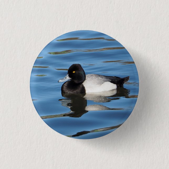 Wildlife Black and White Anka Scaup Photo Knapp (Framsida)