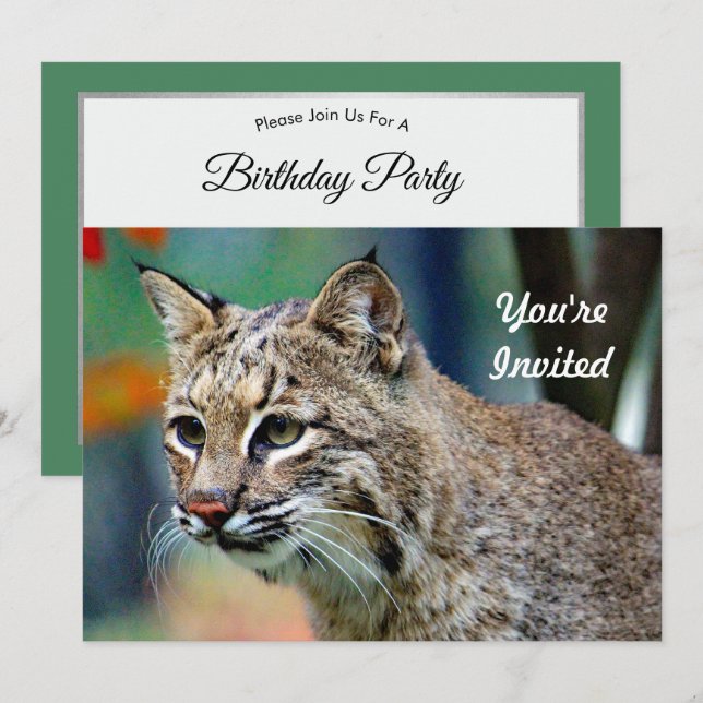 Wildlife Bobcat Photo Birthday Inbjudningar (Fram/baksida)