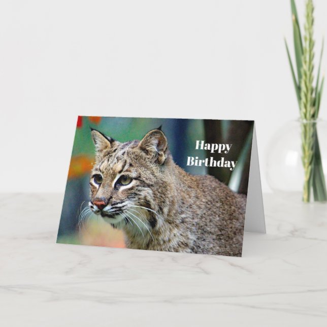 Wildlife Bobcat Photo Birthday Kort (Framsida)