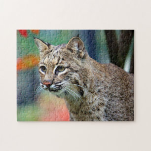 Wildlife Bobcat Photo Pussel