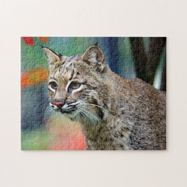 Wildlife Bobcat Photo Pussel (Horisontell)
