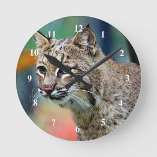 Wildlife Bobcat Photo Rund Klocka
