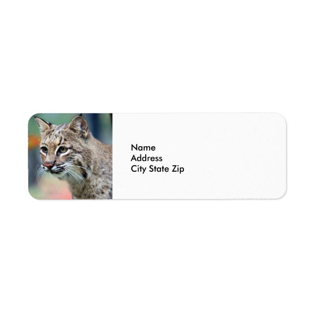 Wildlife Brown Bobcat Lynx Returadress Etikett (Framsidan)