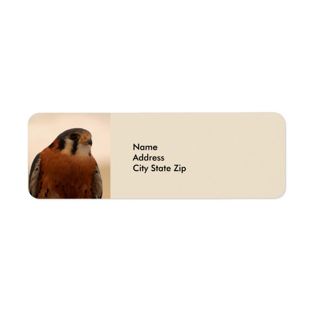 Wildlife Brown Falcon American Kestrel Returadress Etikett (Framsidan)