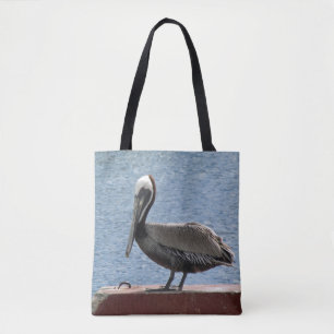 Wildlife Brown Pelican Vatten Photo Tygkasse