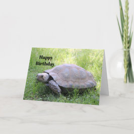Wildlife Brown Tortoise Photo Birthday Kort