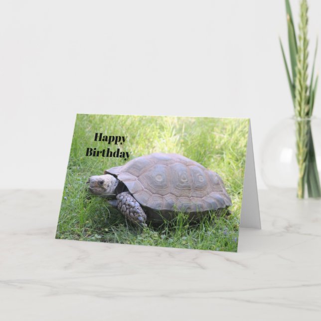 Wildlife Brown Tortoise Photo Birthday Kort (Framsida)