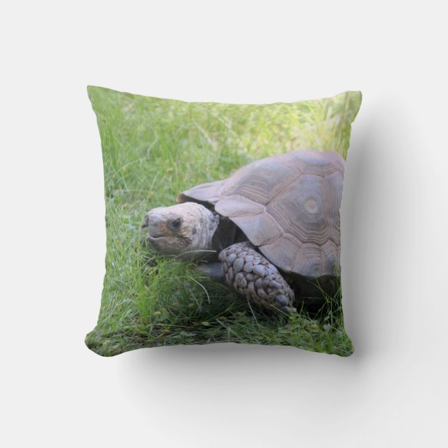 Wildlife Brown Tortoise Photo Kudde (Framsida)
