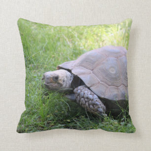 Wildlife Brown Tortoise Photo Kudde