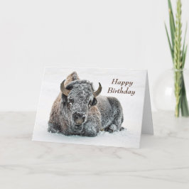 Wildlife Buffalo Snö Photo Birthday Kort