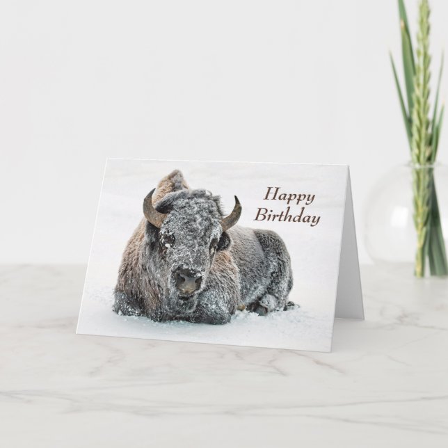 Wildlife Buffalo Snö Photo Birthday Kort (Framsida)