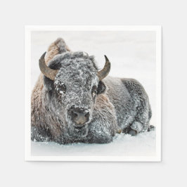 Wildlife Buffalo Snö Photo Pappersservett