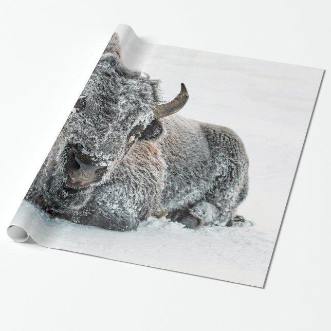Wildlife Buffalo Snö Photo Presentpapper (Utrullad)