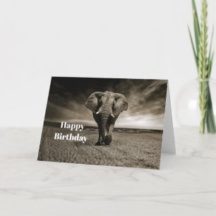 Wildlife Bull Elephant Photo Birthday Kort