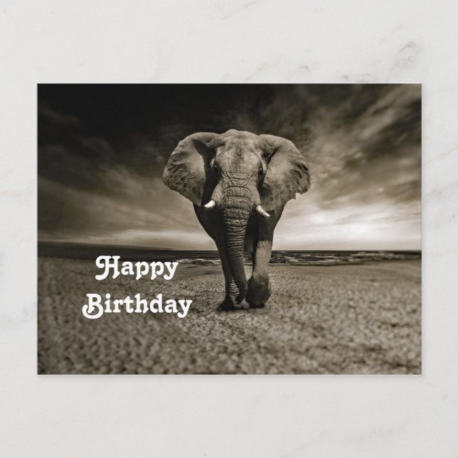 Wildlife Bull Elephant Photo Birthday Vykort (Framsida)