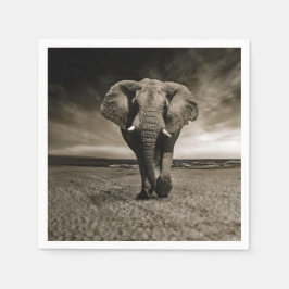 Wildlife Bull Elephant Photo Pappersservett