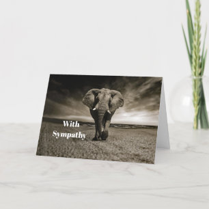 Wildlife Bull Elephant Photo Sympathy Kort