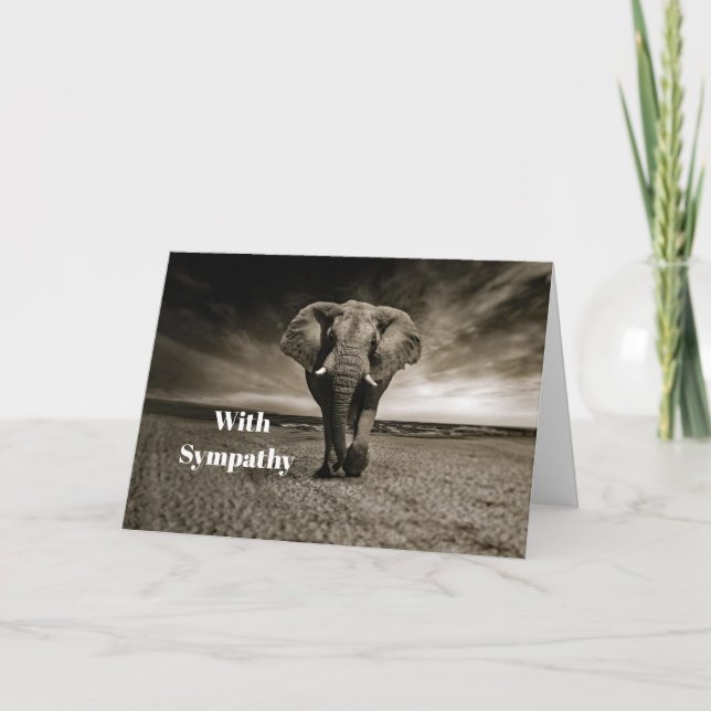 Wildlife Bull Elephant Photo Sympathy Kort (Framsida)