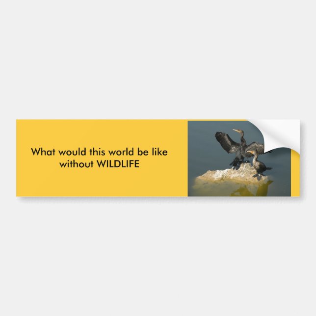 Wildlife Bumper Sticker Bildekal (Framsidan)
