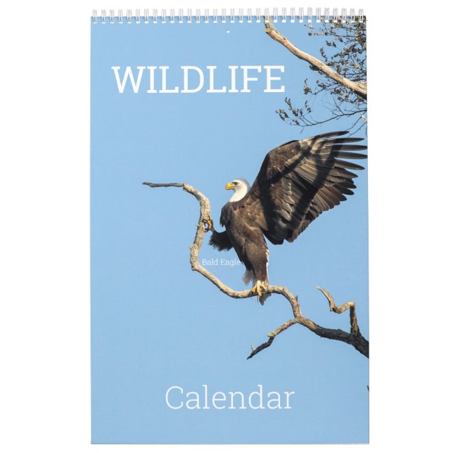 Wildlife Calendar Kalender (Omslag)
