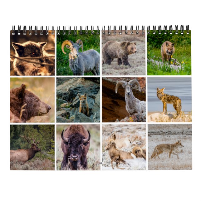 Wildlife Calendar Kalender (Baksida)