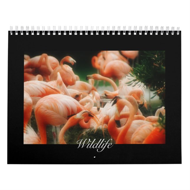 Wildlife Calendar Kalender (Omslag)