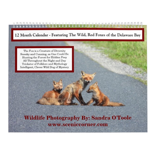 Wildlife Calendar, Red Foxes Kalender (Omslag)